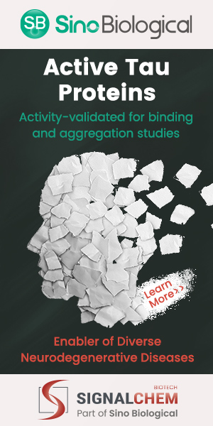 Tau Proteins: Enabler of Diverse Neurodegenerative Diseases