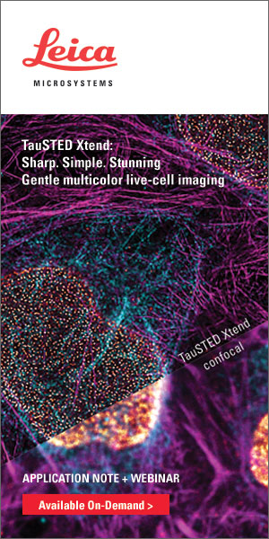 Extended Live-cell Imaging at Nanoscale Resolution