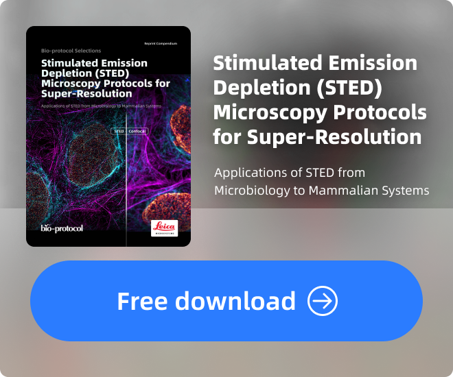 Stimulated Emission Depletion (STED) Microscopy Protocols for Super-Resolution