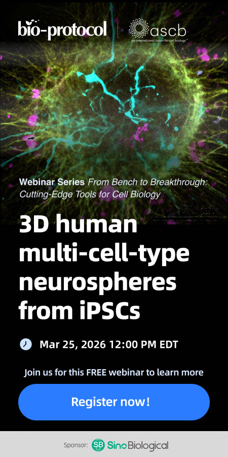 3D human multi-cell-type neurospheres from iPSCs