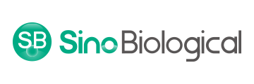 https://www.sinobiological.com/