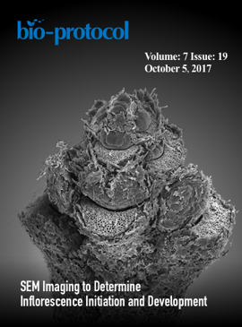 Issue Cover - Bio-protocol, Volume 7, Issue 19