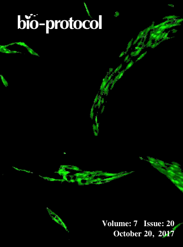 Issue Cover - Bio-protocol, Volume 7, Issue 20