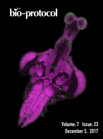 Issue Cover - Bio-protocol, Volume 7, Issue 23