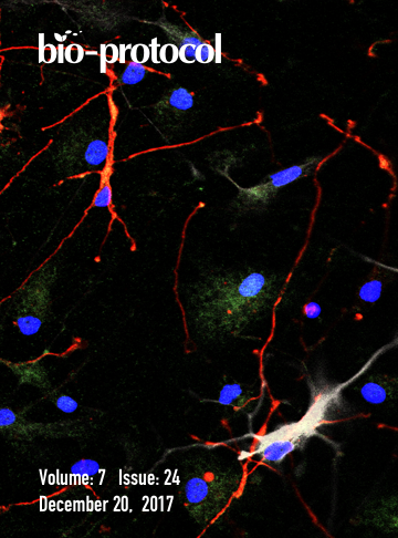 Issue Cover - Bio-protocol, Volume 7, Issue 24