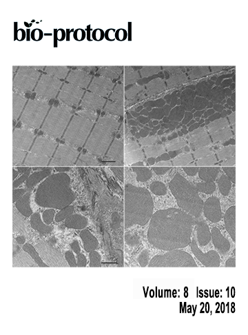 Issue Cover - Bio-protocol, Volume 8, Issue 10