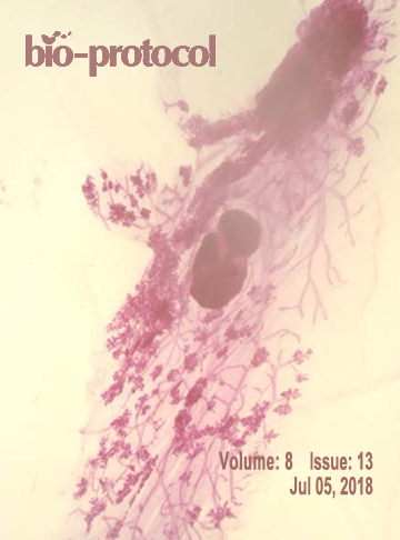 Issue Cover - Bio-protocol, Volume 8, Issue 13