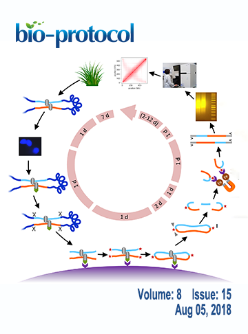 Issue Cover - Bio-protocol, Volume 8, Issue 15