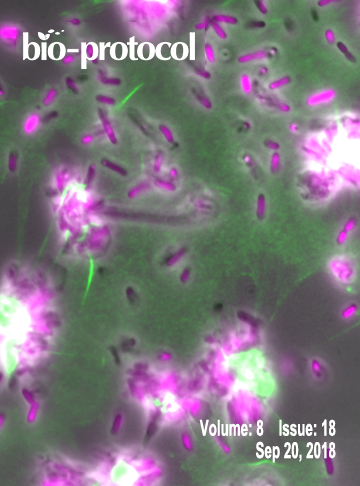 Issue Cover - Bio-protocol, Volume 8, Issue 18
