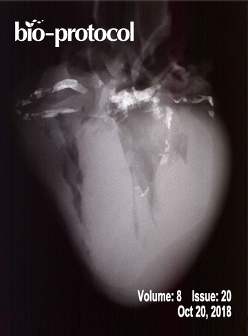 Issue Cover - Bio-protocol, Volume 8, Issue 20