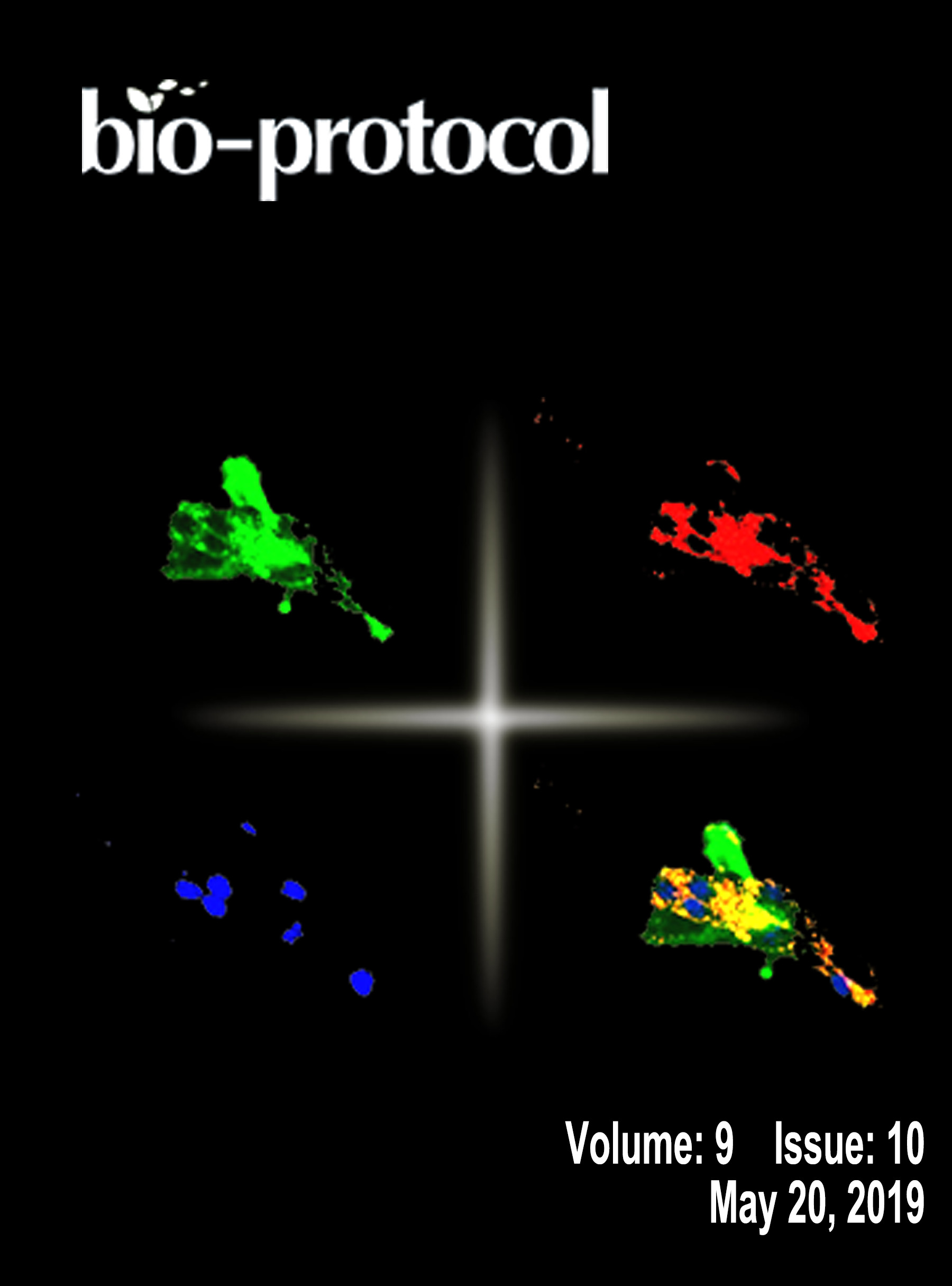 Issue Cover - Bio-protocol, Volume 9, Issue 10
