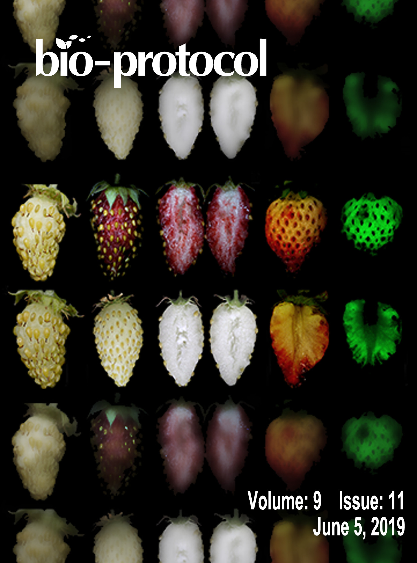 Issue Cover - Bio-protocol, Volume 9, Issue 11