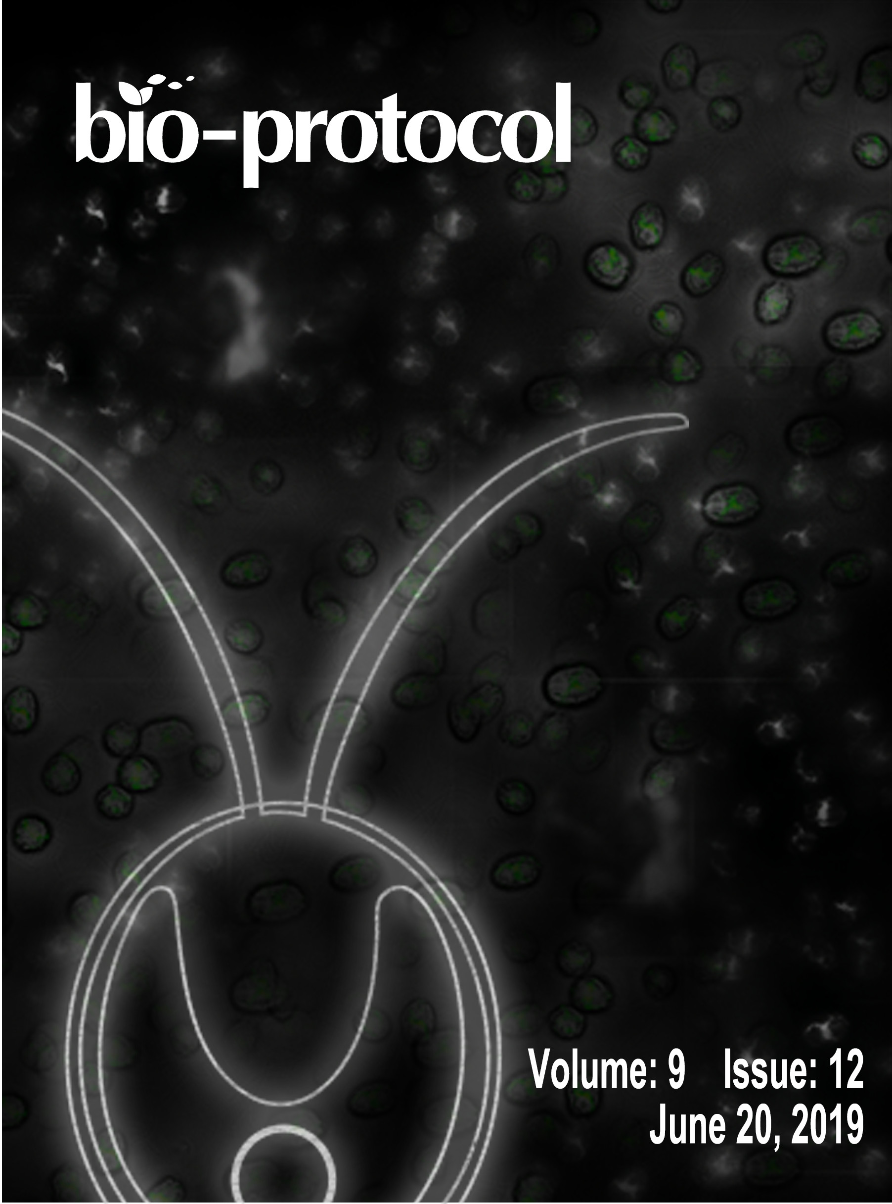 Issue Cover - Bio-protocol, Volume 9, Issue 12