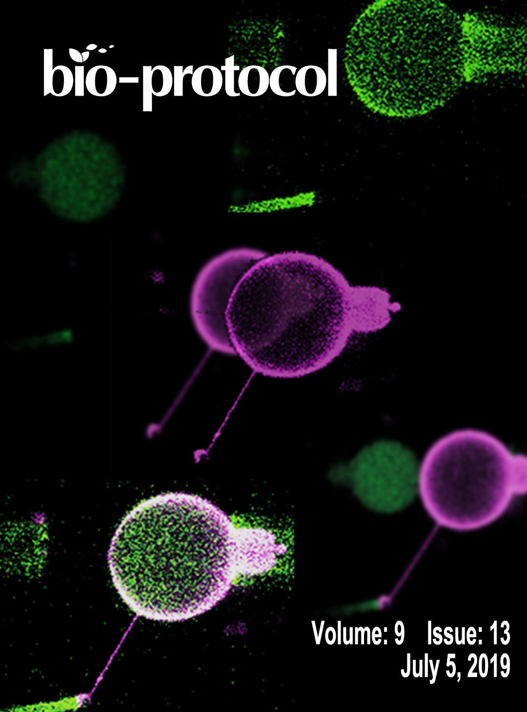 Issue Cover - Bio-protocol, Volume 9, Issue 13