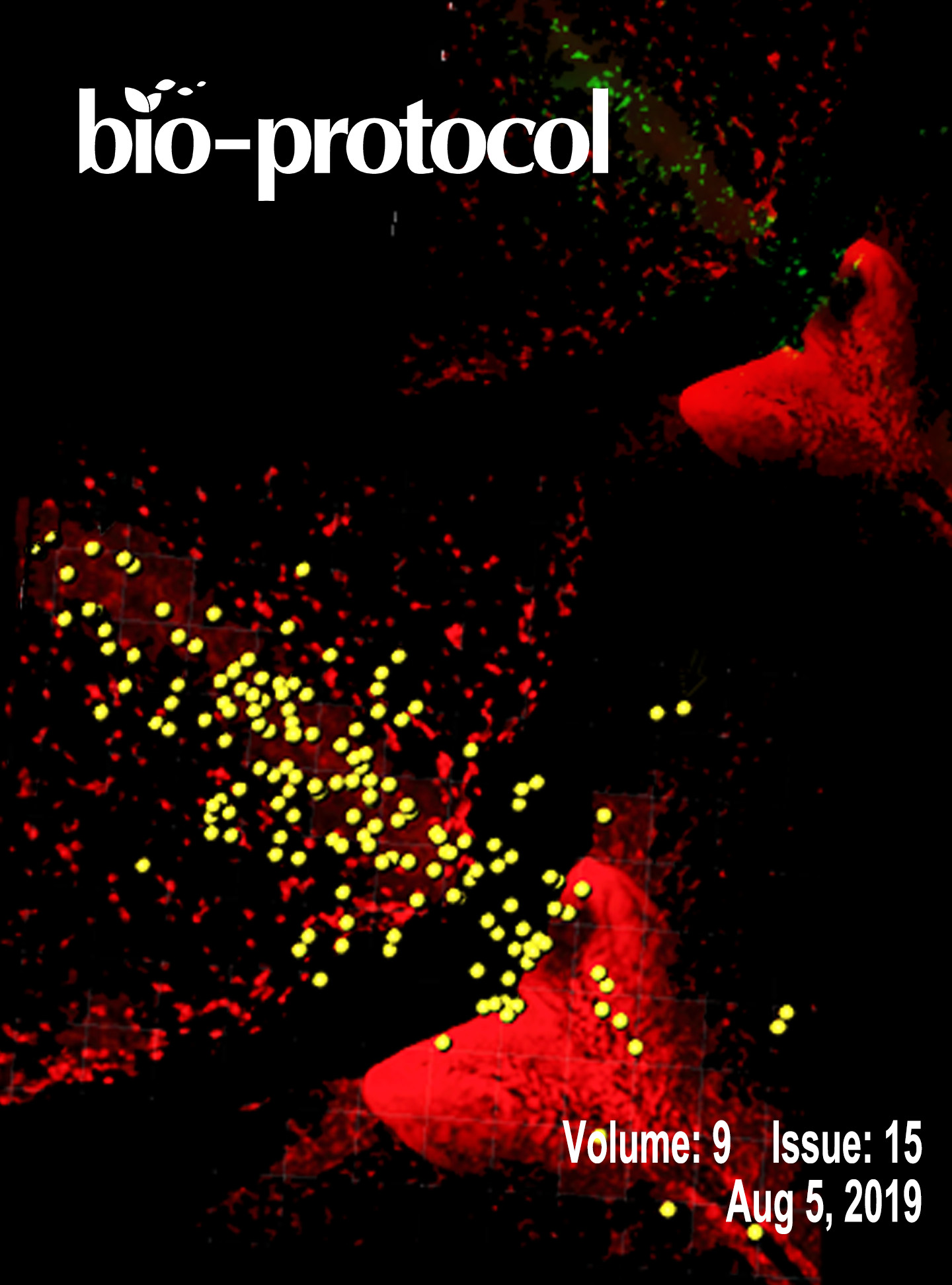 Issue Cover - Bio-protocol, Volume 9, Issue 15