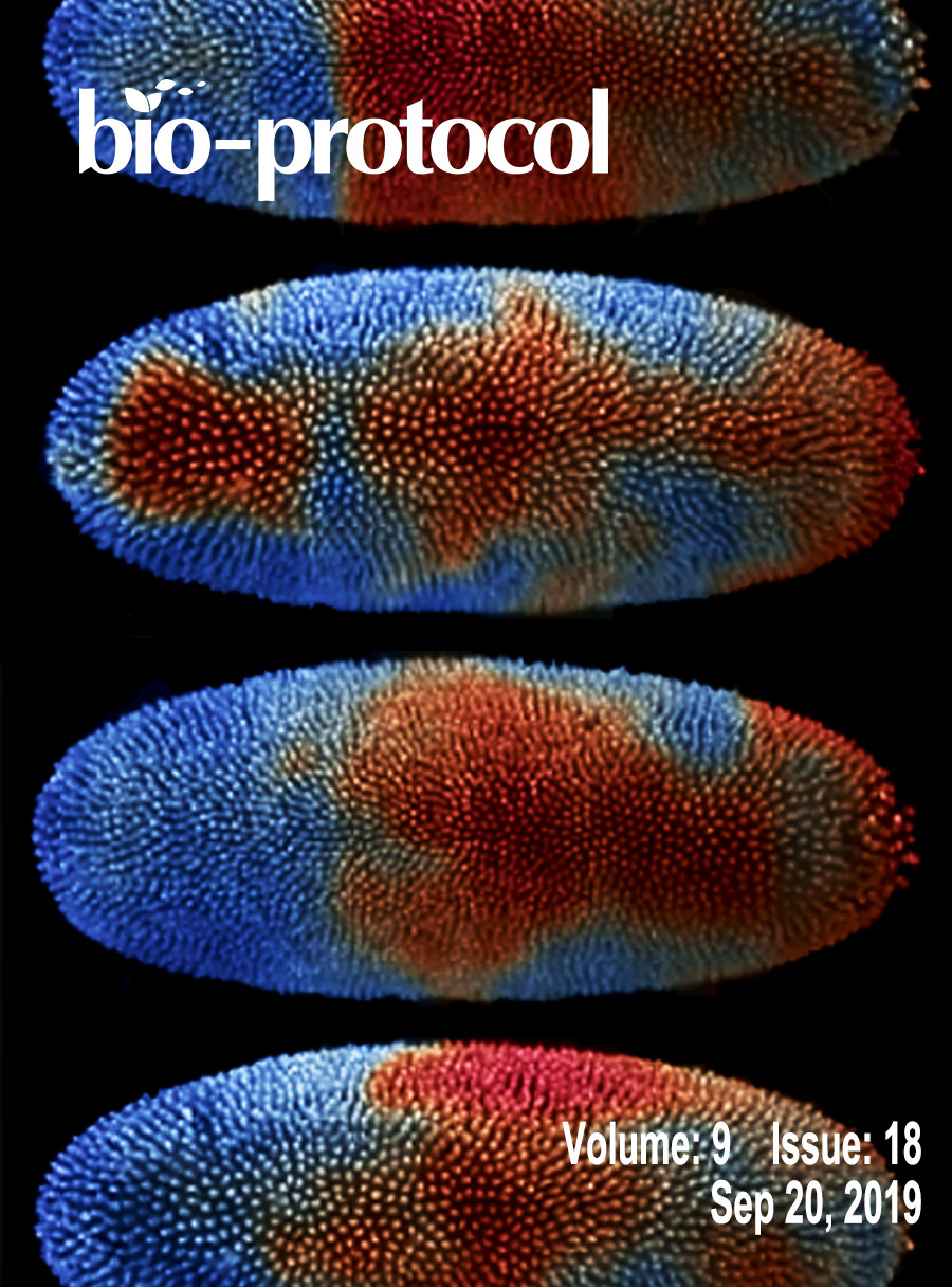 Issue Cover - Bio-protocol, Volume 9, Issue 18