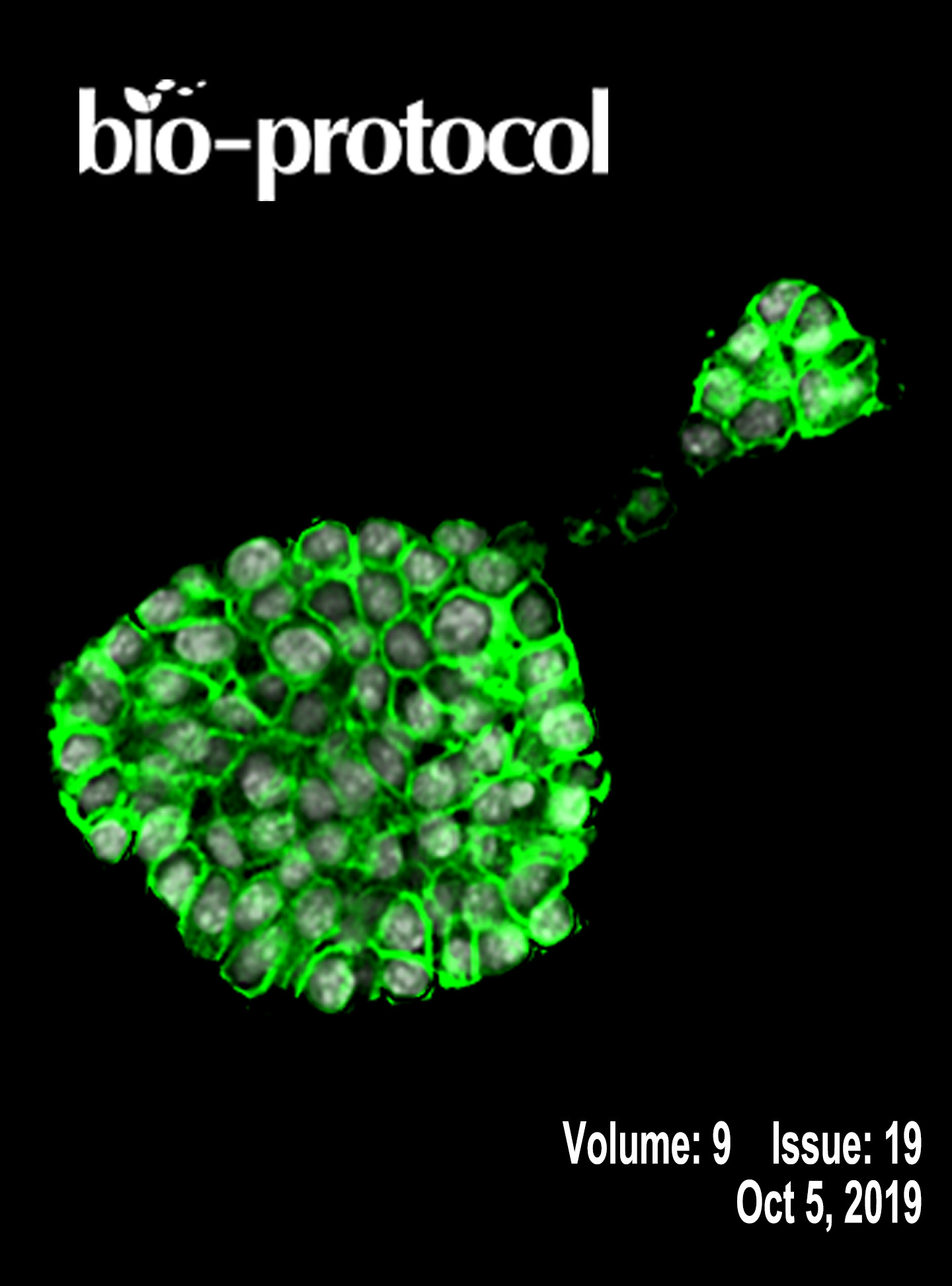 Issue Cover - Bio-protocol, Volume 9, Issue 19