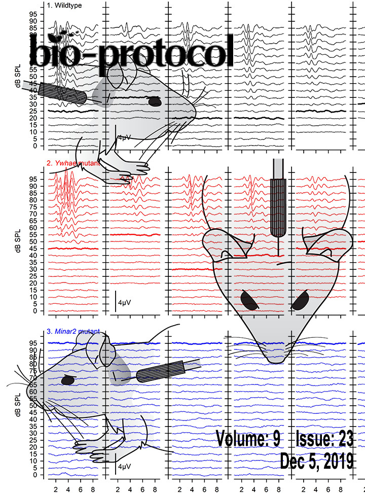 Issue Cover - Bio-protocol, Volume 9, Issue 23