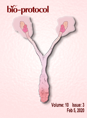 Issue Cover - Bio-protocol, Volume 10, Issue 3