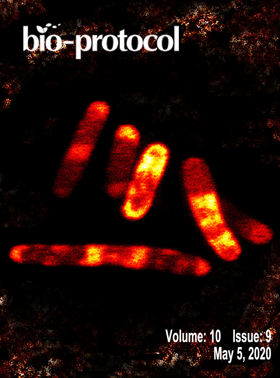 Issue Cover - Bio-protocol, Volume 10, Issue 9