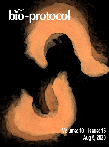 Issue Cover - Bio-protocol, Volume 10, Issue 15