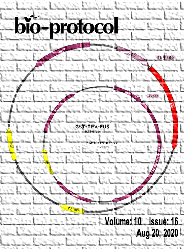 Issue Cover - Bio-protocol, Volume 10, Issue 16
