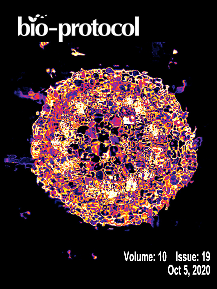 Issue Cover - Bio-protocol, Volume 10, Issue 19