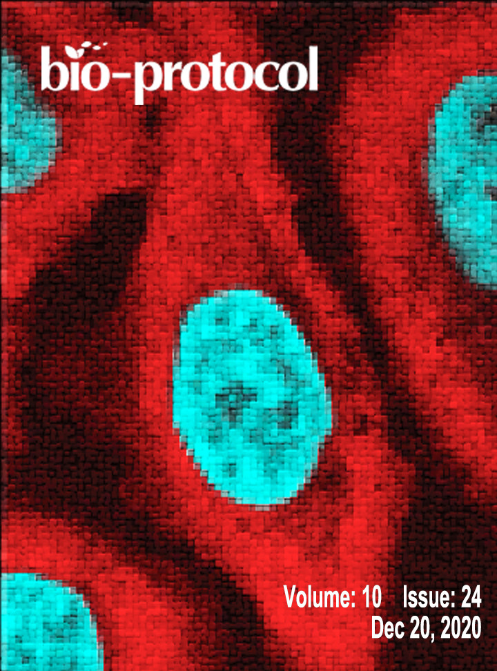 Issue Cover - Bio-protocol, Volume 10, Issue 24