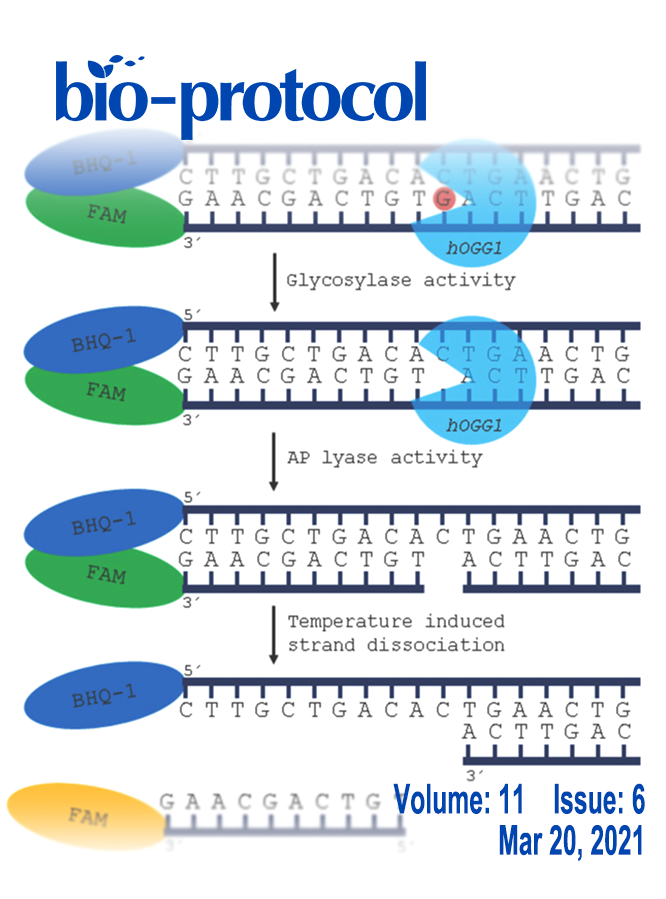 Issue Cover - Bio-protocol, Volume 11, Issue 6