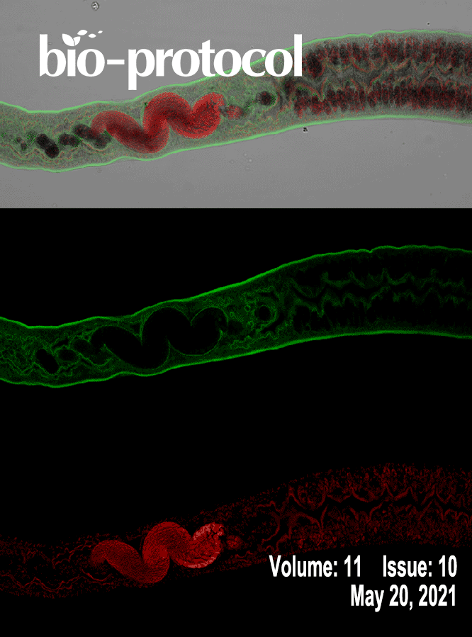 Issue Cover - Bio-protocol, Volume 11, Issue 10