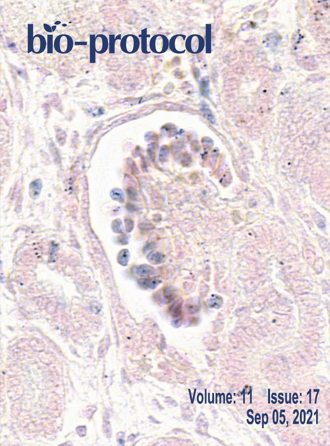Issue Cover - Bio-protocol, Volume 11, Issue 17