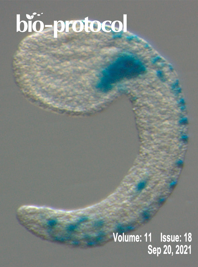 Issue Cover - Bio-protocol, Volume 11, Issue 18