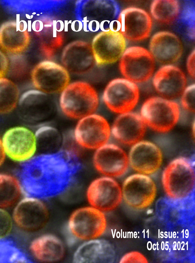 Issue Cover - Bio-protocol, Volume 11, Issue 19