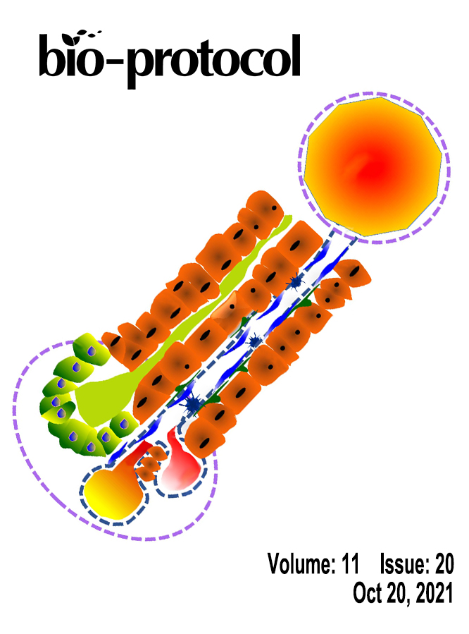 Issue Cover - Bio-protocol, Volume 11, Issue 20
