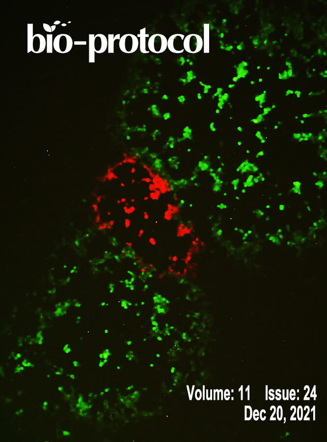 Issue Cover - Bio-protocol, Volume 11, Issue 24
