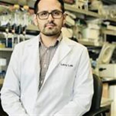 Felipe Vences-Catalán