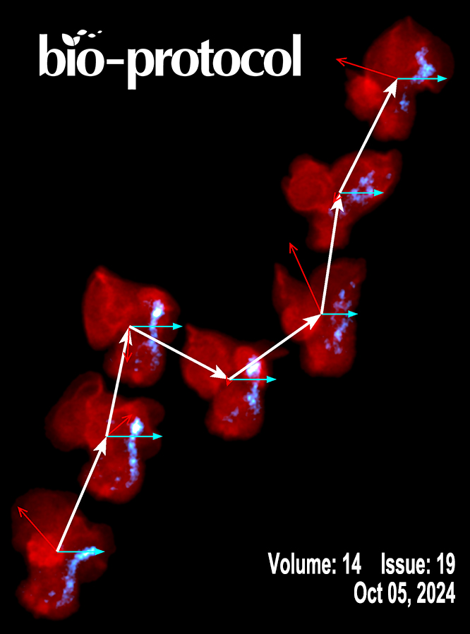 Issue Cover - Bio-protocol, Volume 14, Issue 19