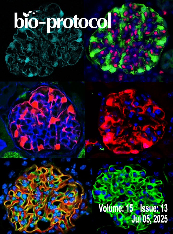 Issue Cover - Bio-protocol, Volume 15, Issue 13