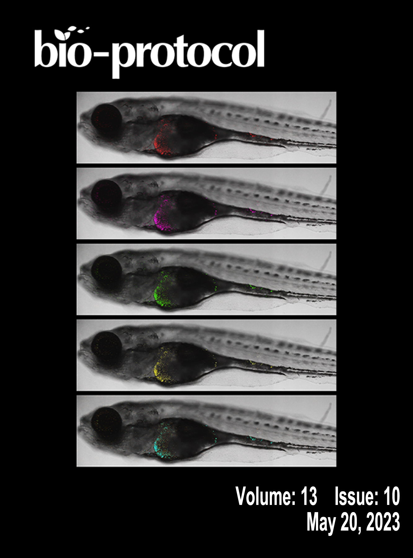 Issue Cover - Bio-protocol, Volume 13, Issue 10