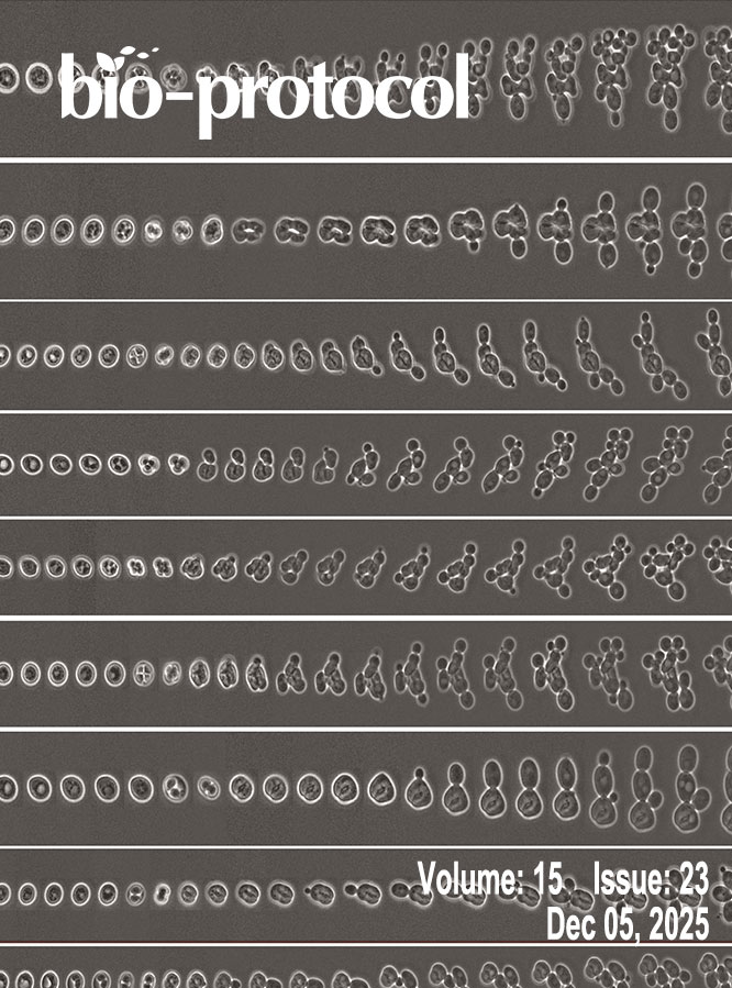 Issue Cover - Bio-protocol, Volume 15, Issue 23