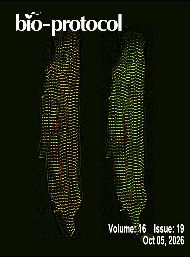 Issue Cover - Bio-protocol, Volume 16, Issue 19