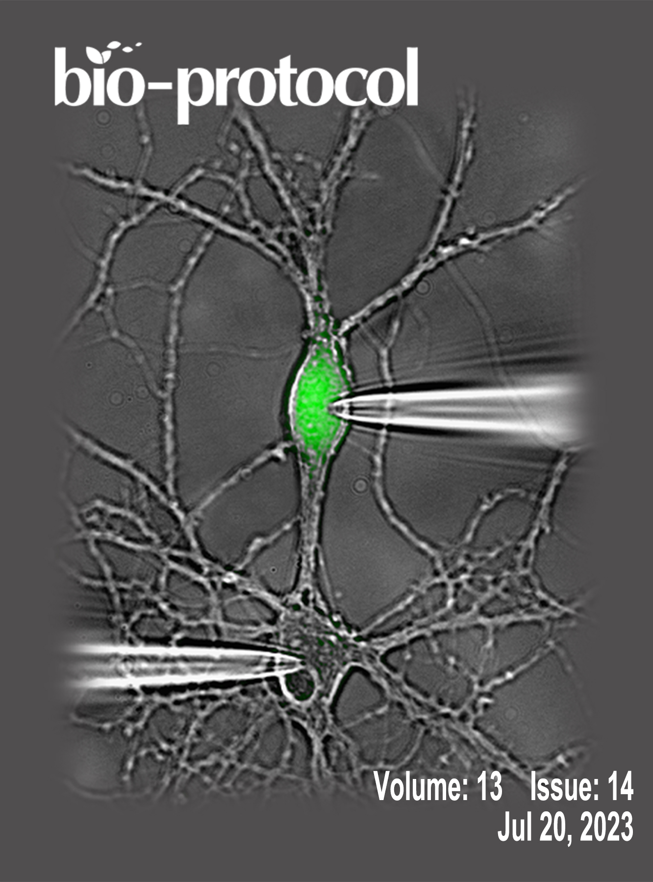 Issue Cover - Bio-protocol, Volume 13, Issue 14