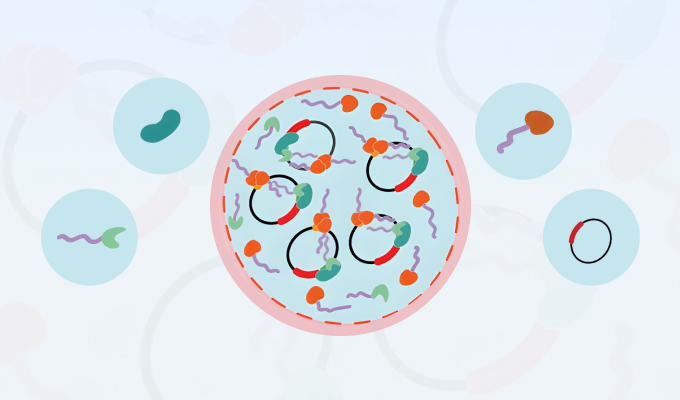 Programmable synthetic biomolecular condensates for cellular control