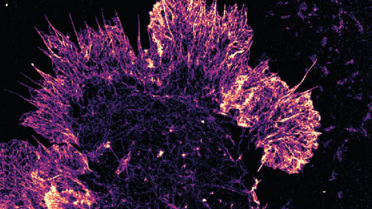 Advancing single molecule microscopy with active stabilization