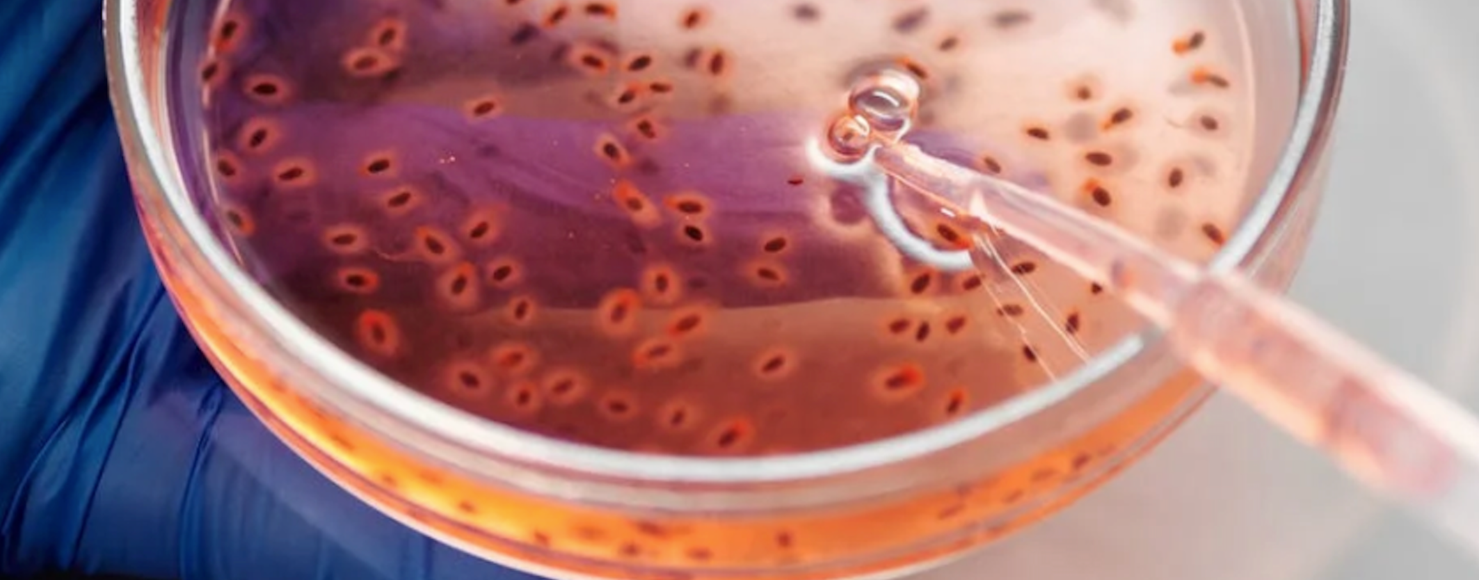 test-回放自动化用，勿删