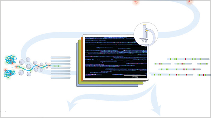 Beyond NGS – Single-molecule genomics