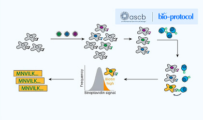 High-throughput T-cell antigen discovery technology platform and its applications