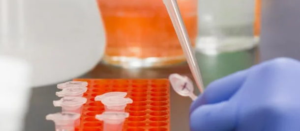 TEST 0703 webinar 2025